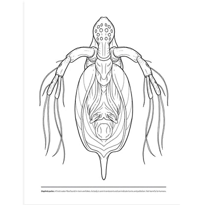 microscopic monsters Microscopic Monsters Coloring Book – UNFADE