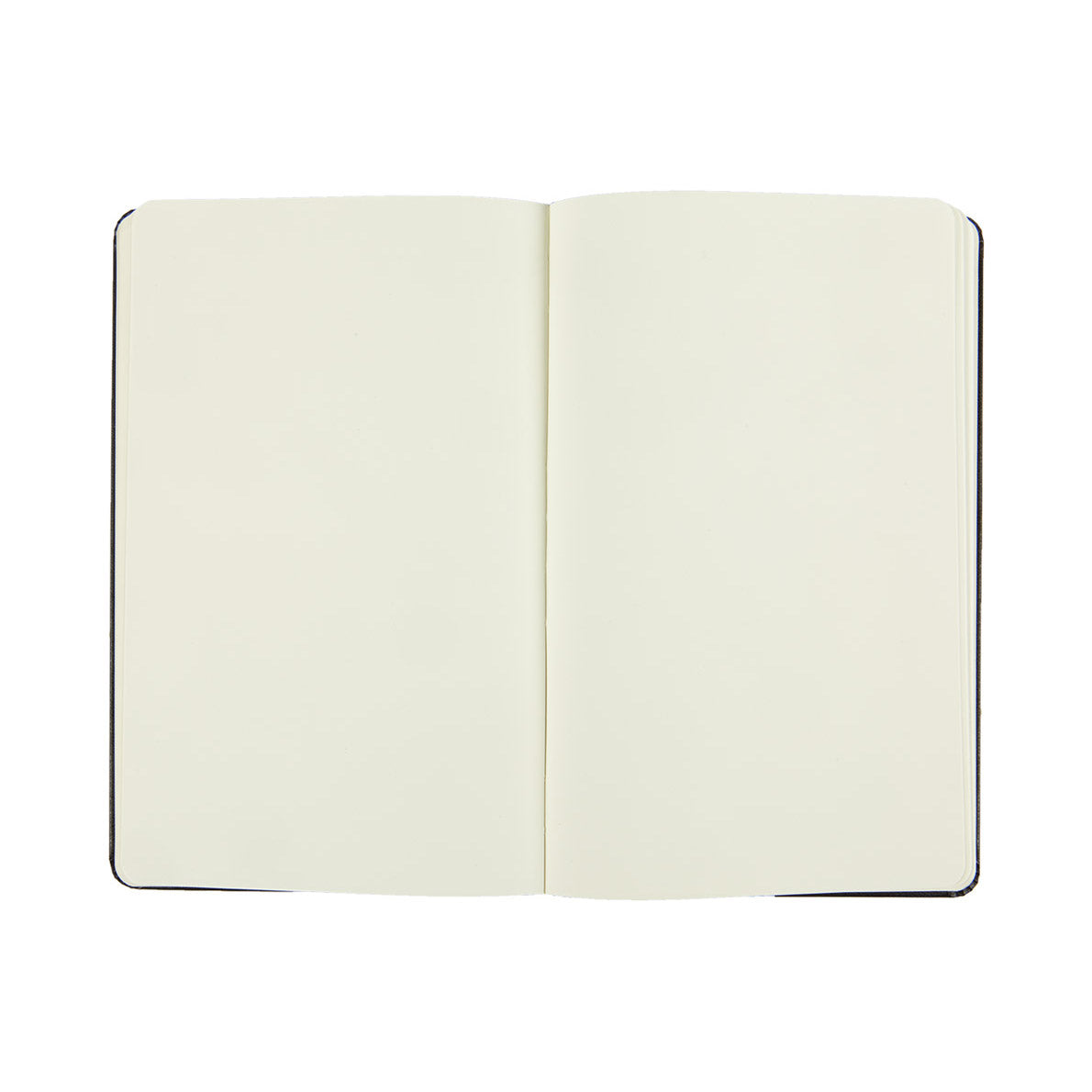 Moleskine Classic Large Notebook Hard Cover Plain