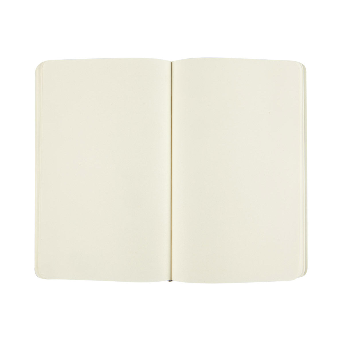 Moleskine Classic Large Notebook Soft Cover Plain