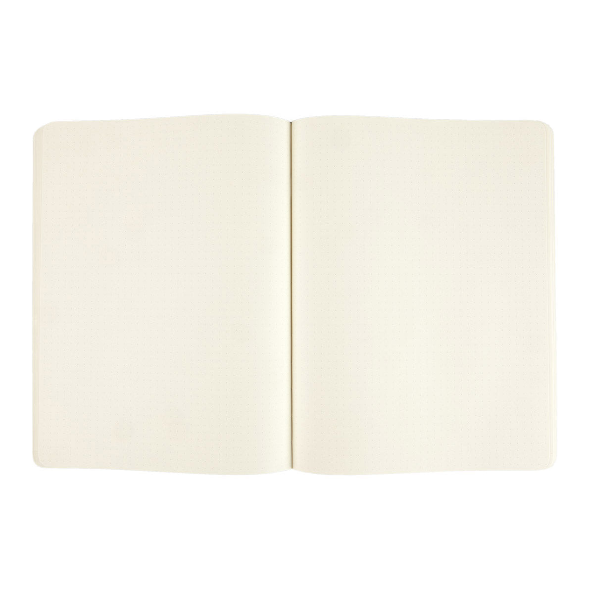 Moleskine Classic X-Large Notebook Soft Cover Dotted