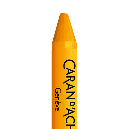 Caran d'Ache Neocolor II Water-Soluble Crayons